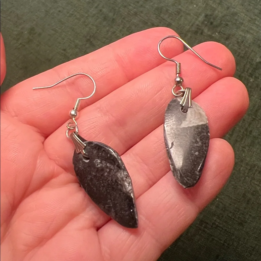 Othoceras Fossil Claw Style Silver Tone Dangle Earrings